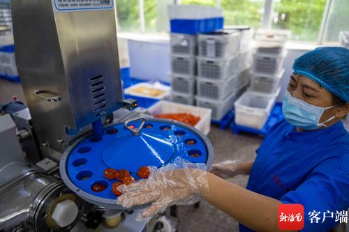 原創(chuàng)組圖丨中秋將至 ?？谶@個(gè)食品廠開足馬力生產(chǎn)月餅