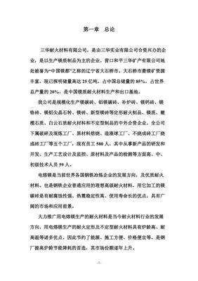 年產(chǎn)六萬(wàn)噸電熔鎂生產(chǎn)線可研報(bào)告