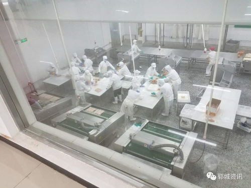 紅盾護(hù)企 食品生產(chǎn)科在行動(dòng)，保障電熔鎂生產(chǎn)安全